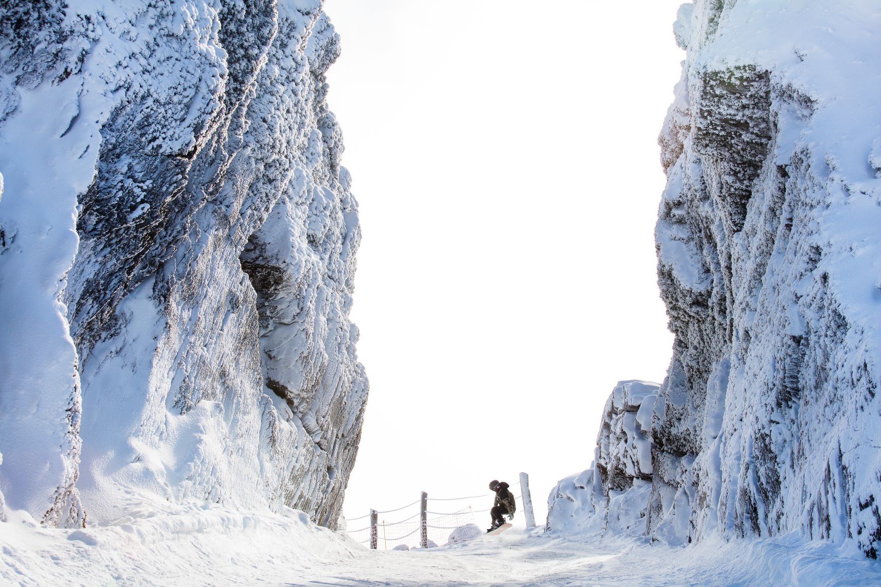 ¡Qué lindo es Castor!